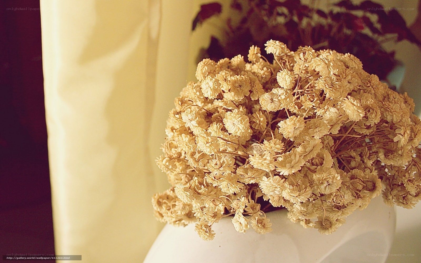dried flowers in a vase