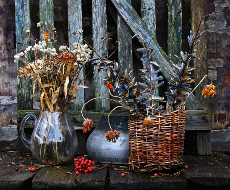 Dried Flowers in Containers