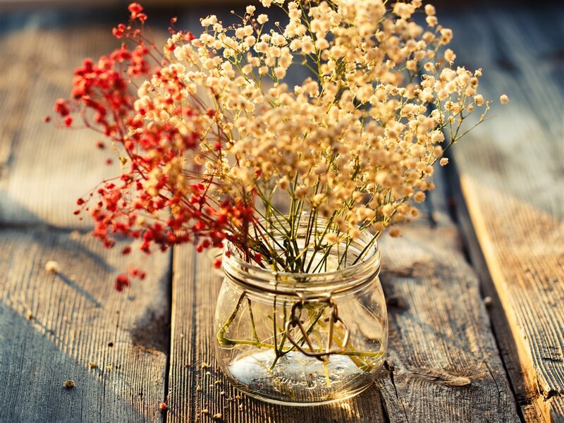 Dried Flowers in Jar — Beige, Serene