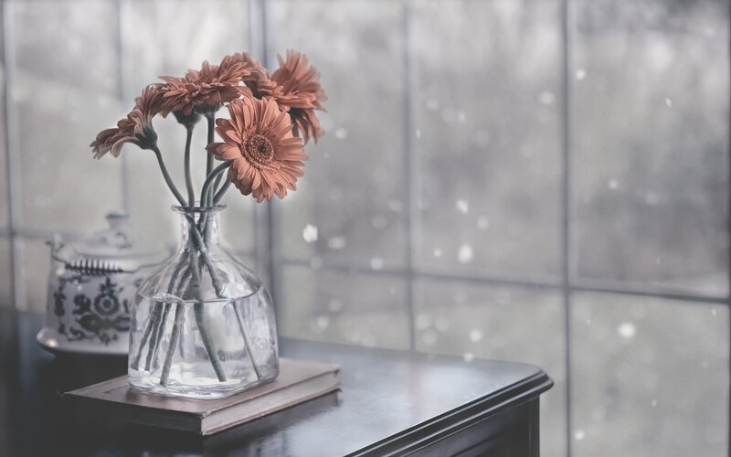 Dried Flowers in Vase — Brown, Calm