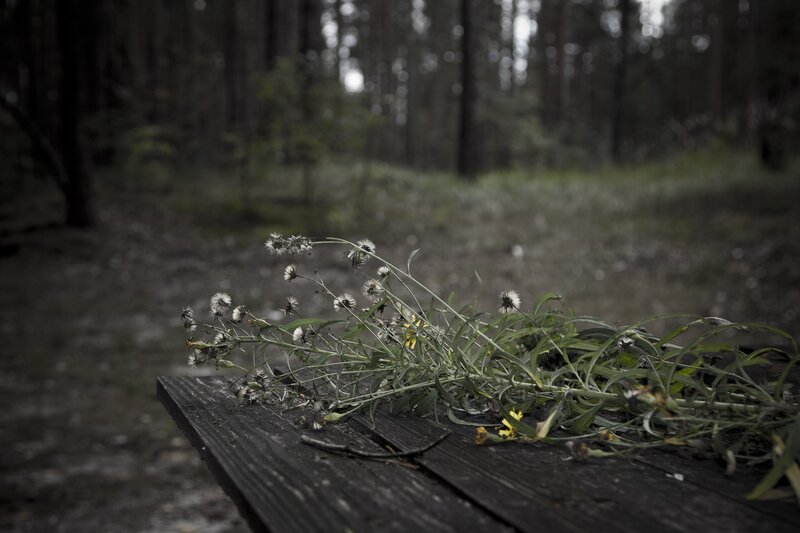 Dried flowers on a wooden table