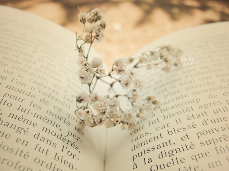 Dried Flowers on Book — White