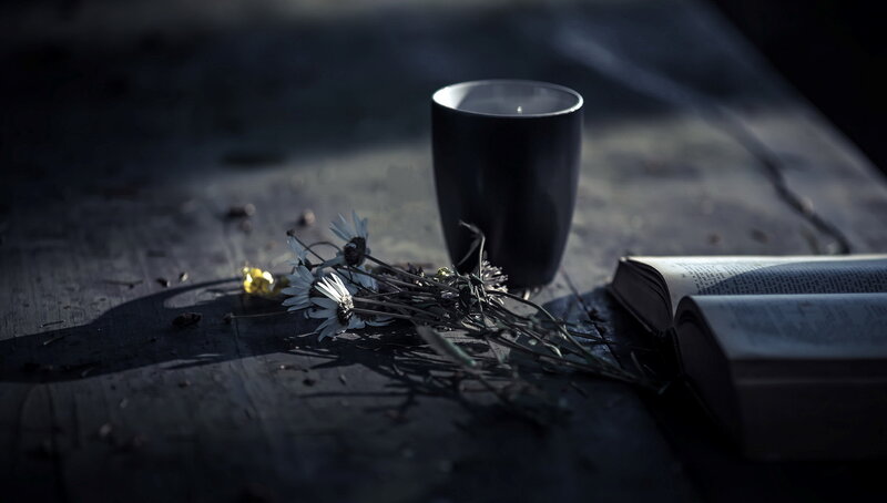 Dried Flowers on Table