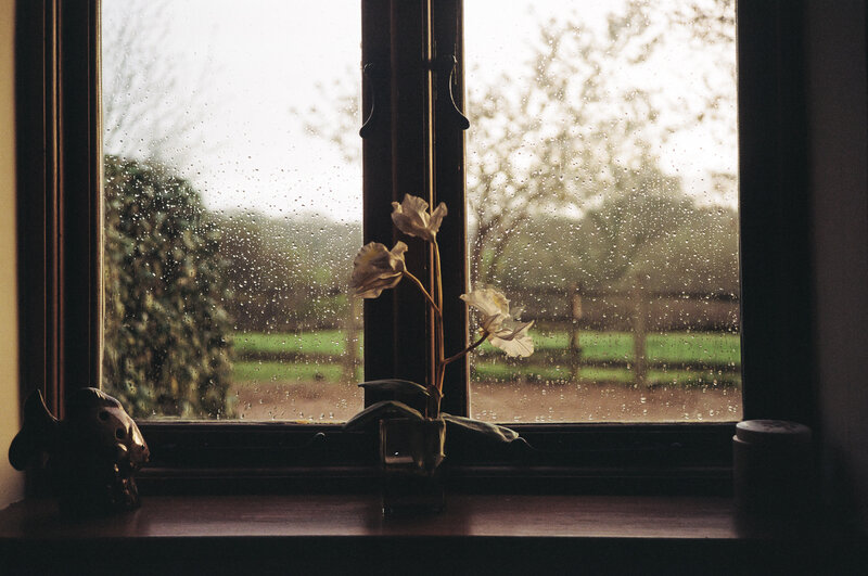 Dried Flowers on Windowsill