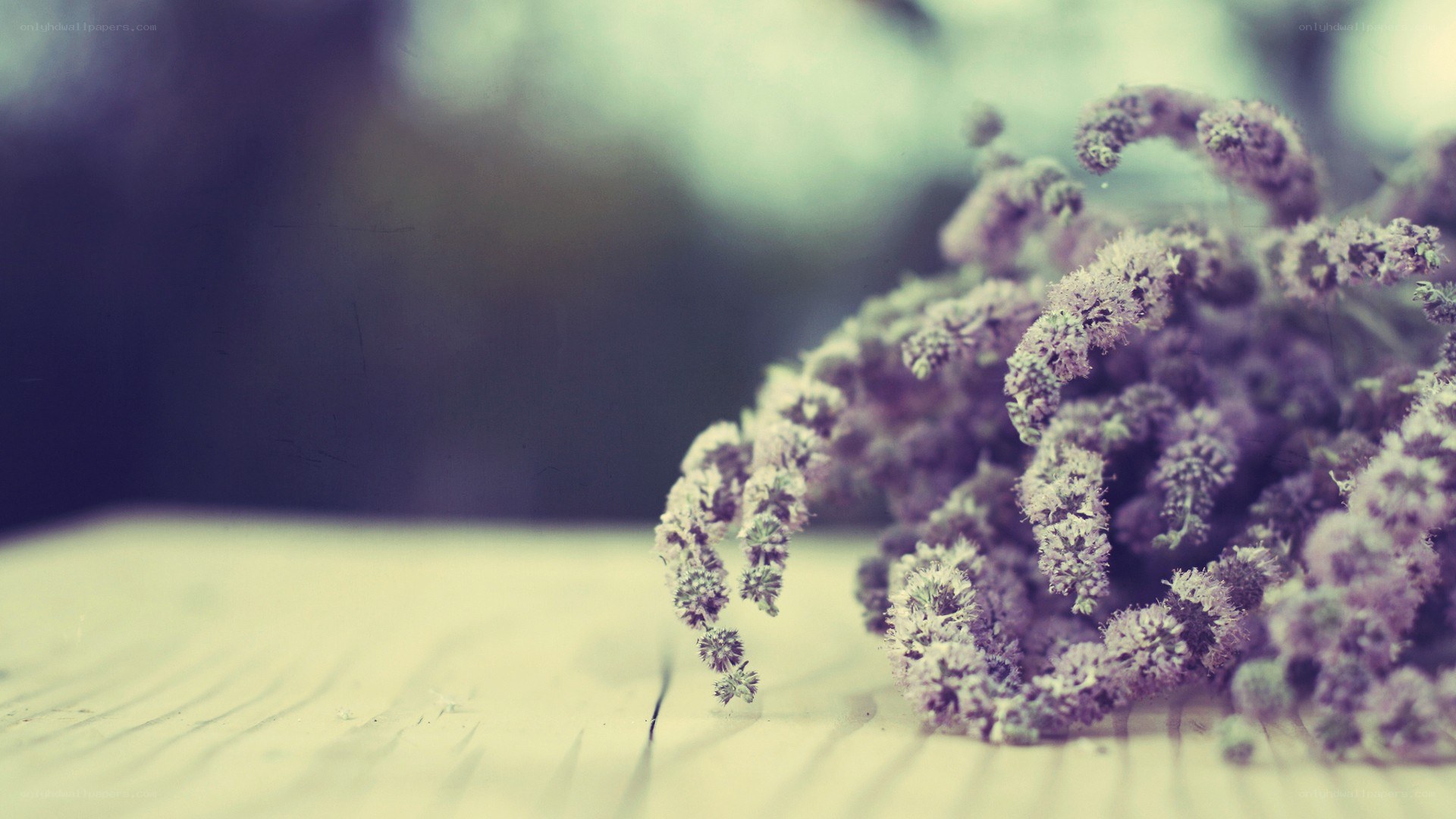 dried flowers on wood