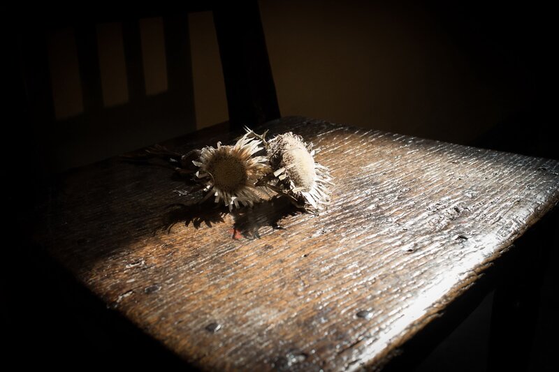 Dried Flowers on Wood — Brown, Dramatic