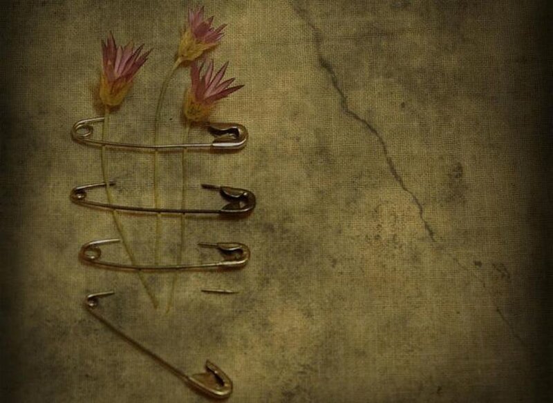 Dried flowers pinned on fabric