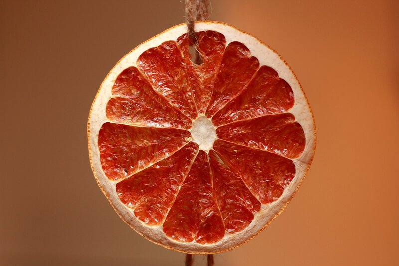 dried grapefruit slice