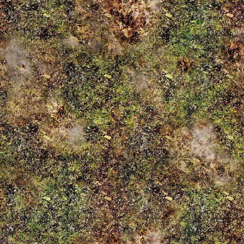 Dried Grass and Moss
