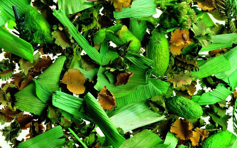 dried green botanicals