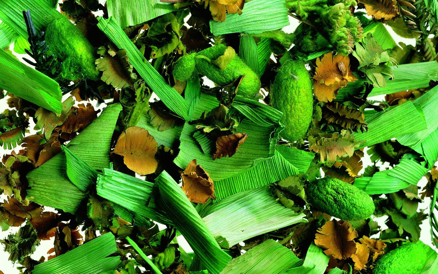 dried green botanicals