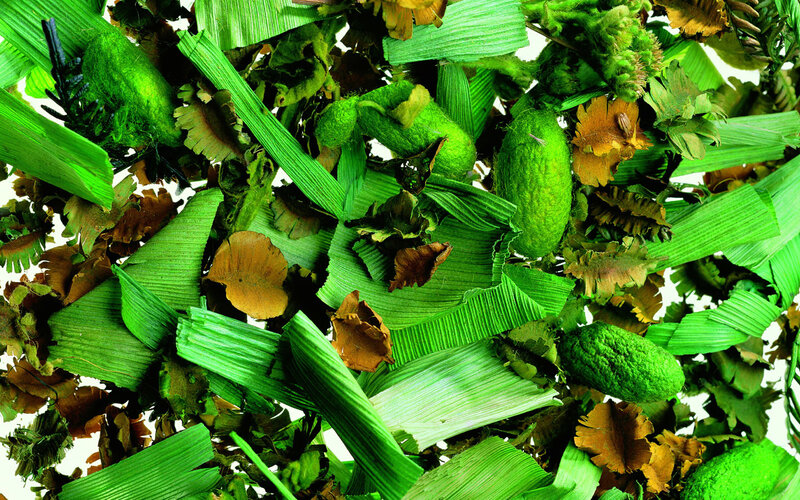 dried green plant material