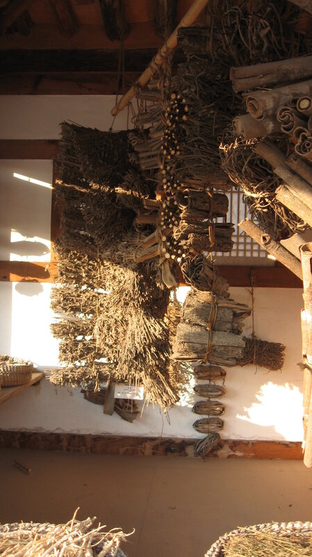 Dried herbs and roots hanging in a room