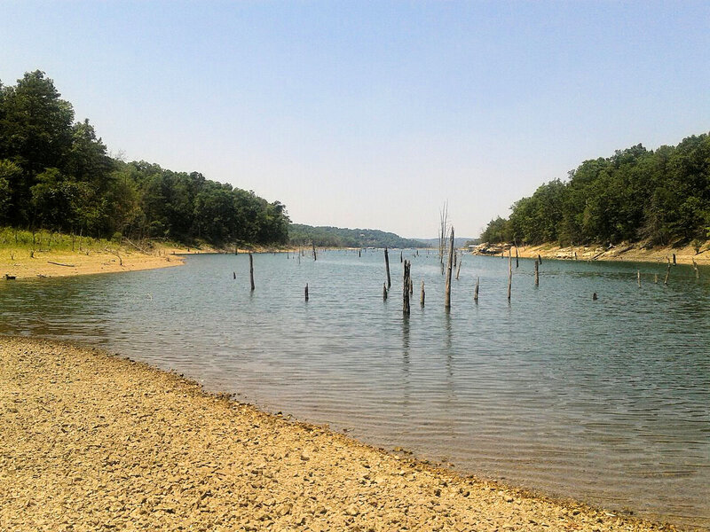 Dried Lake with Wooden Posts