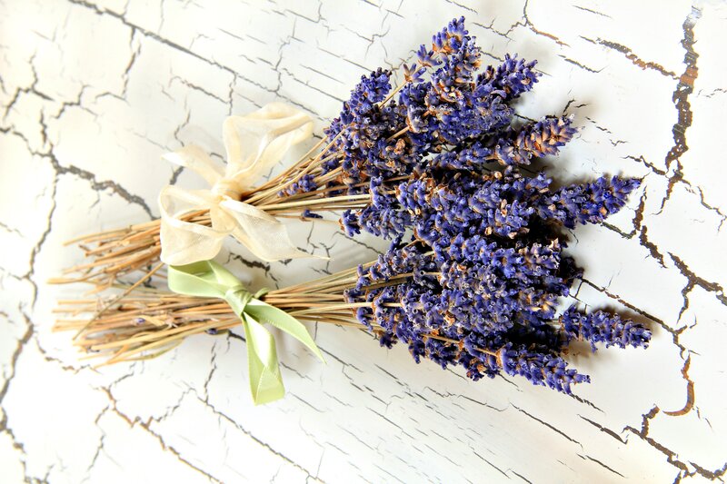 Dried Lavender Bouquet — Purple, Calm, Photograph
