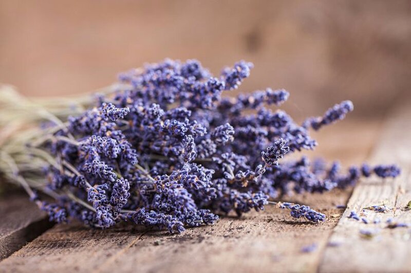 Dried Lavender Bunch — Purple