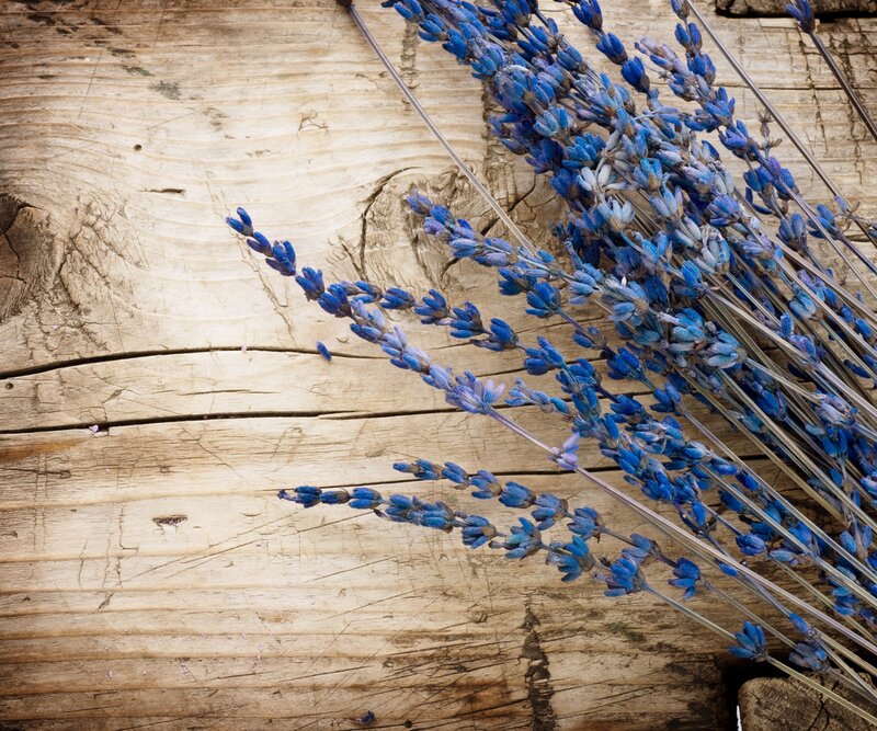 Dried Lavender Bunch