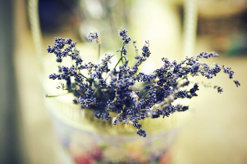 Dried Lavender Flowers — Purple, Calm
