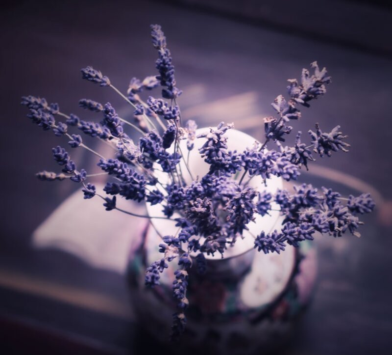 Dried Lavender in Vase