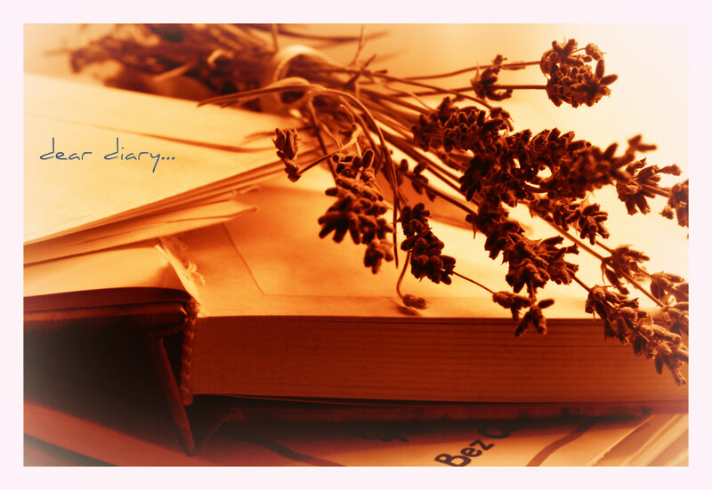 Dried Lavender on Book
