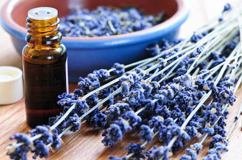 Dried Lavender Sprigs — Blue