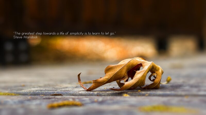 Dried Leaf on Ground — Brown