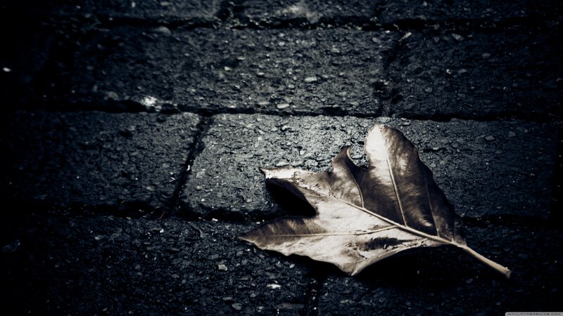 Dried Leaf on Pavement — Black, Somber, Autumn