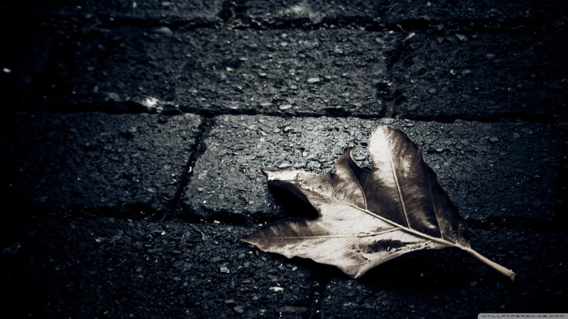 Dried Leaf on Pavement — Black, Somber