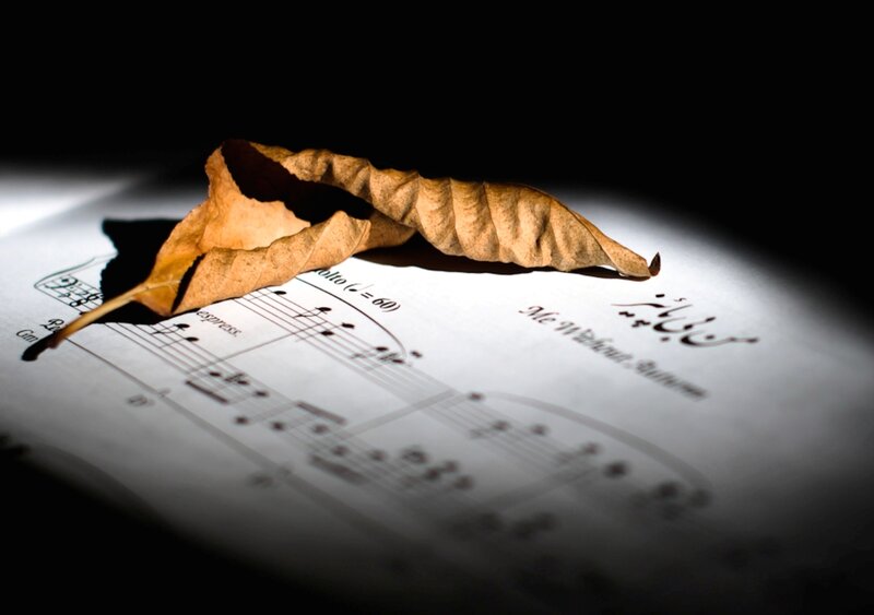 Dried Leaf on Sheet Music