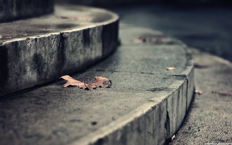 Dried Leaf on Steps — Gray