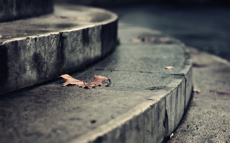 Dried Leaf on Steps