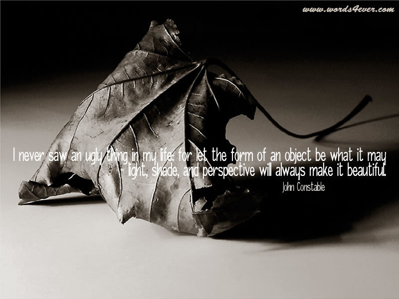 Dried Leaf on Surface — Black