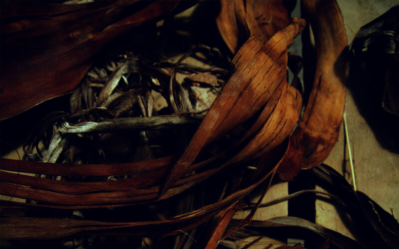 dried leaves in a basket