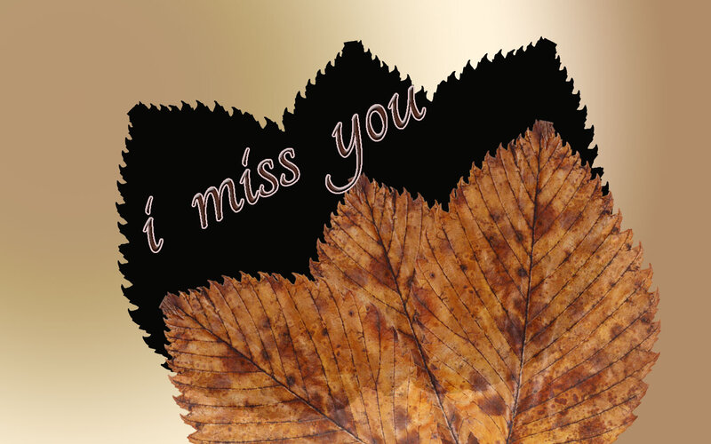 Dried Leaves in Heart Shape