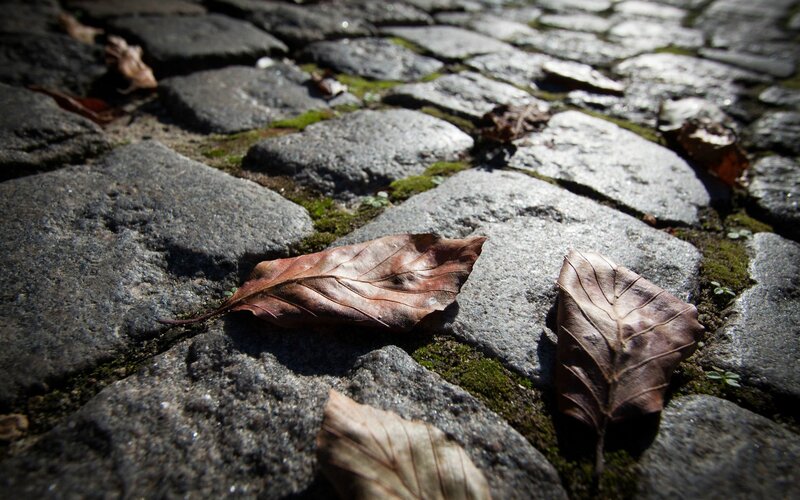 Dried Leaves on Cobblestones