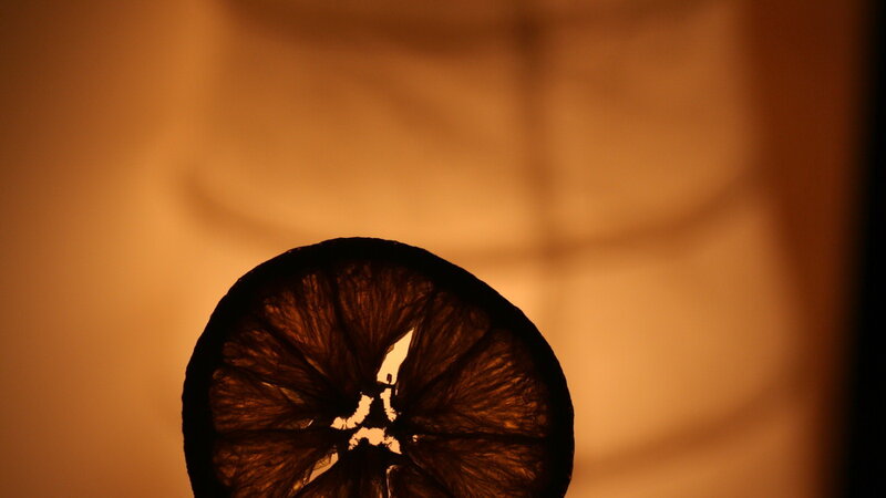 Dried Lemon Slice