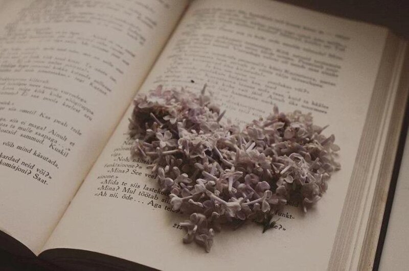 Dried Lilac Flowers on Book