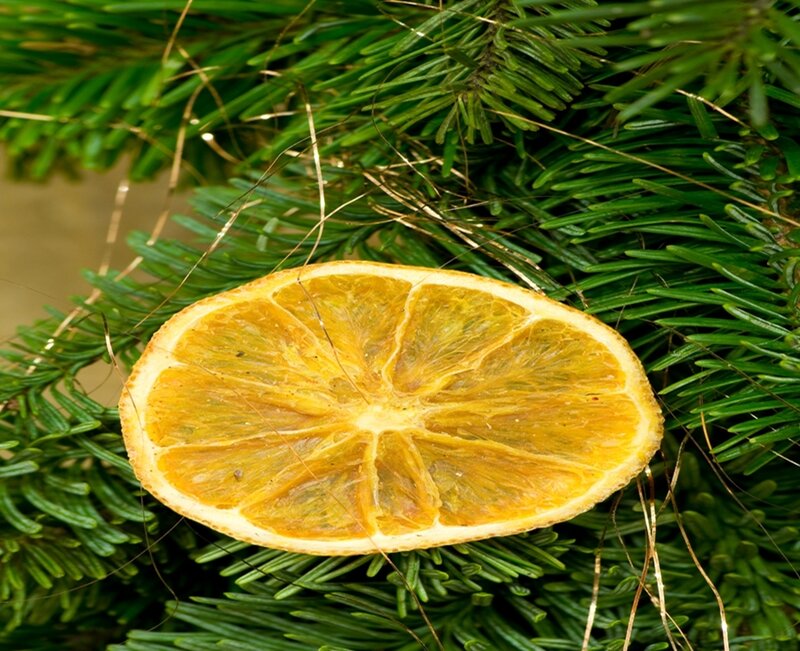 dried orange slice on pine