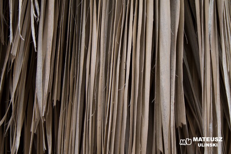 dried palm fronds texture