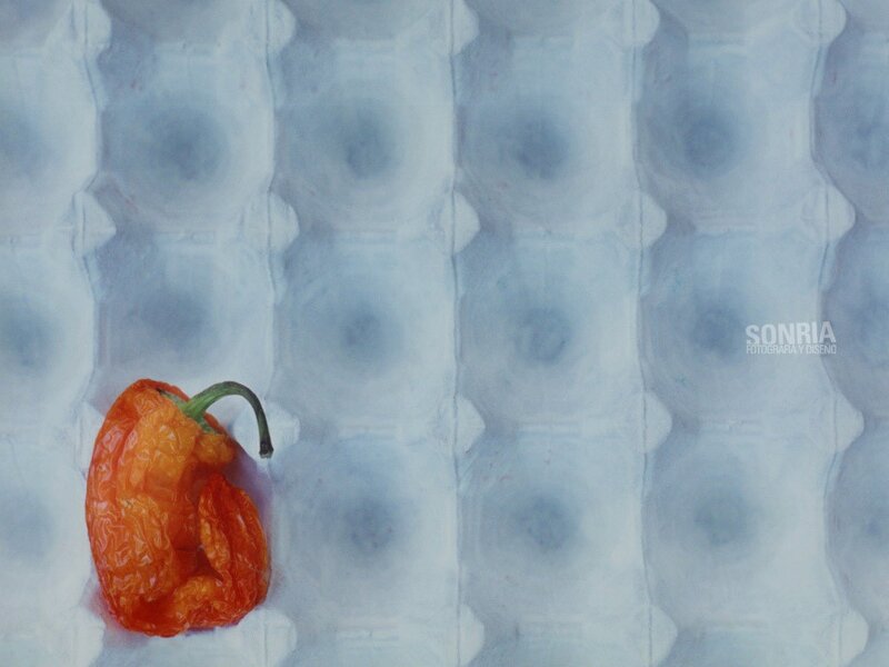 Dried pepper in egg carton