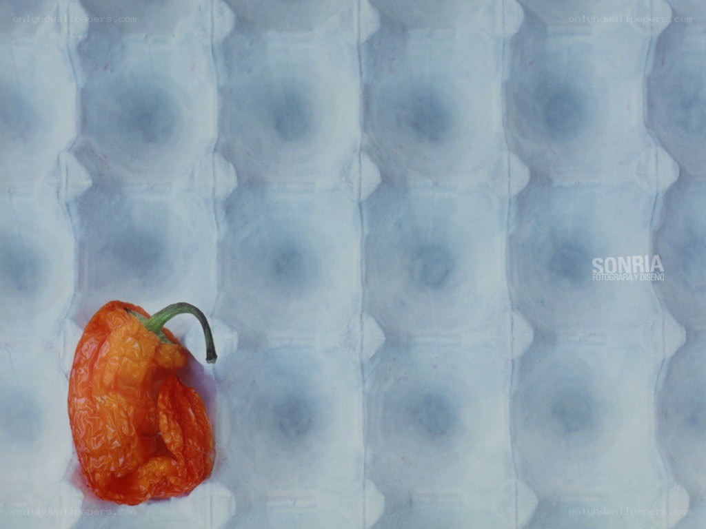 Dried pepper in egg carton