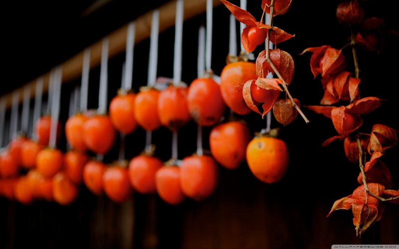 Dried Persimmons Hanging