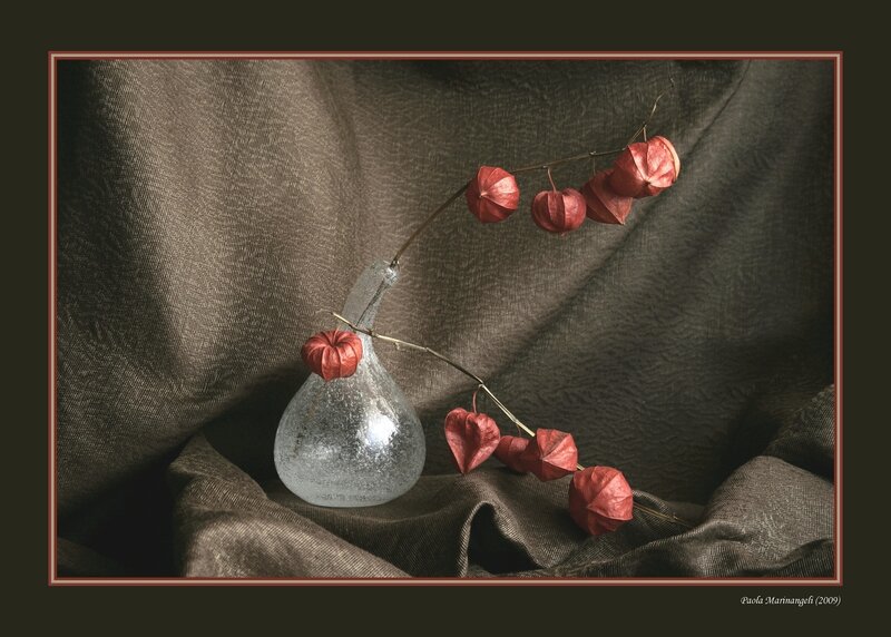 Dried Physalis in Glass Vase