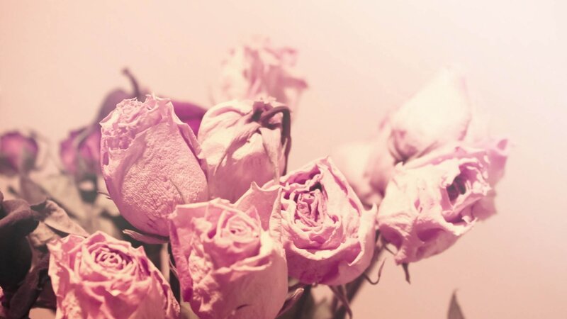 dried pink roses bouquet