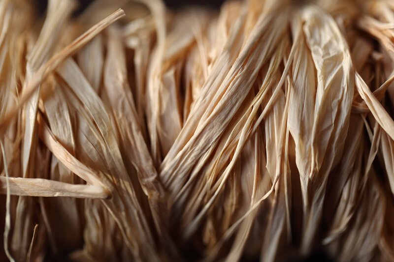 Dried Plant Fibers