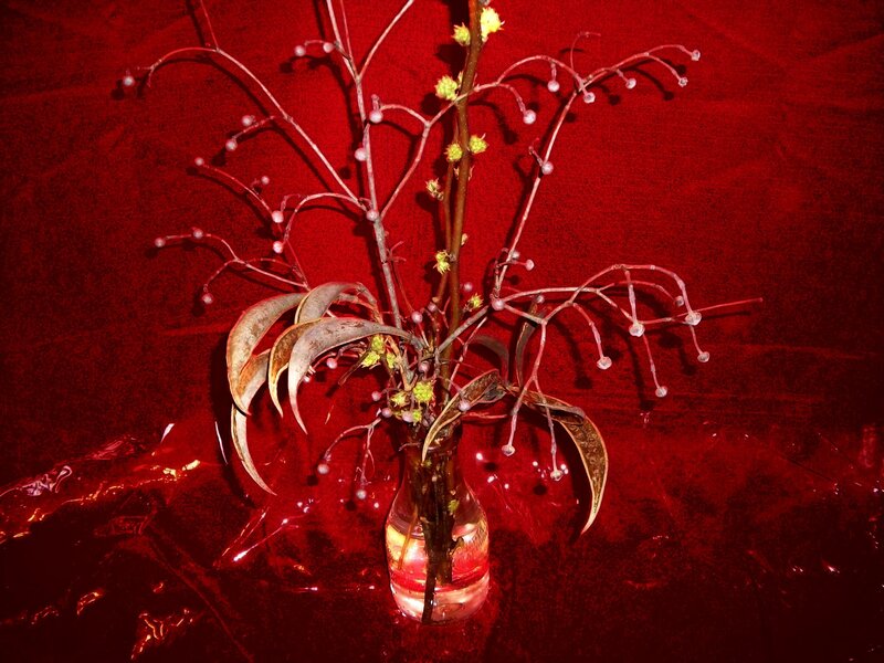 Dried Plant in Vase