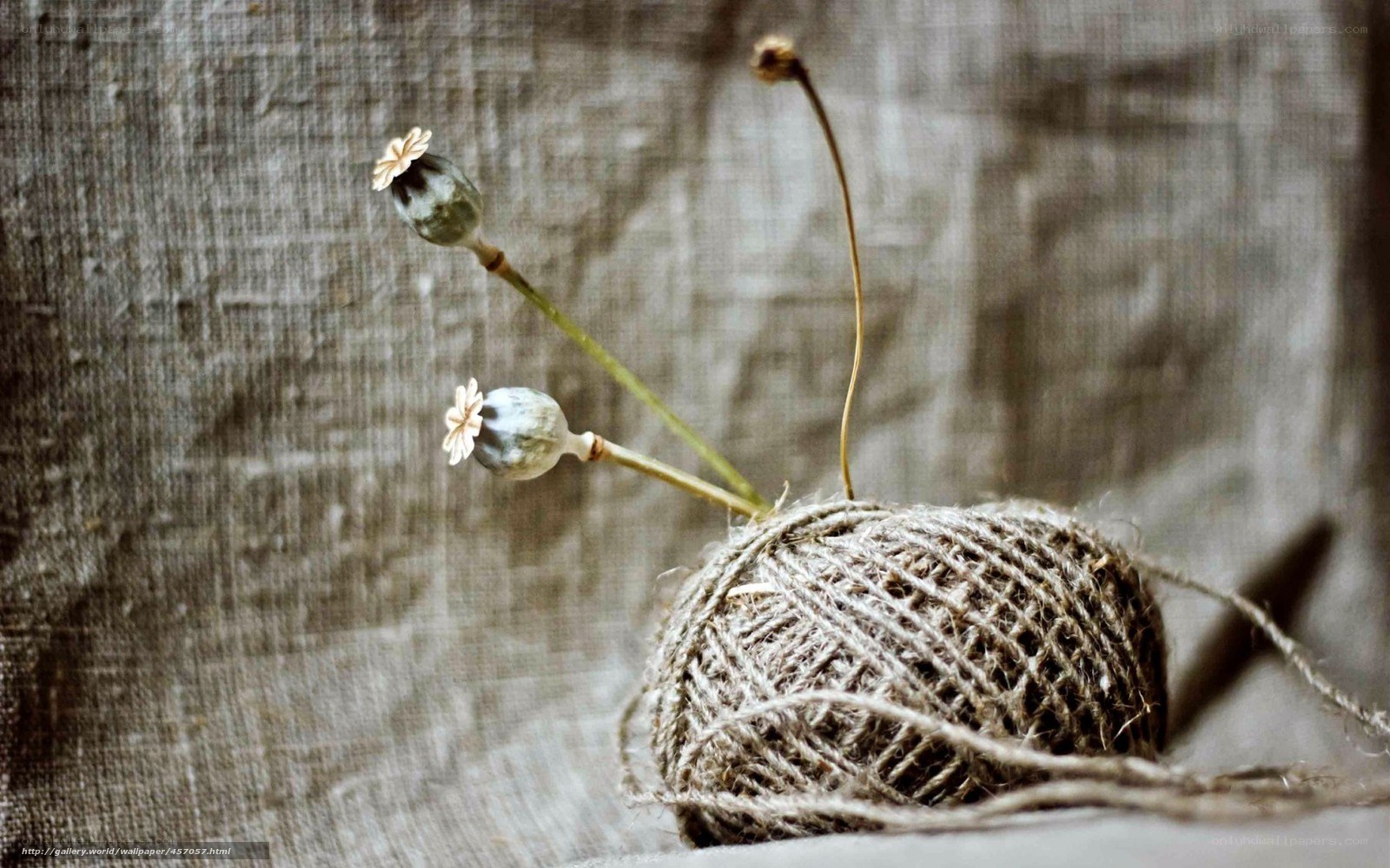 dried poppy heads on twine