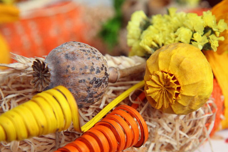 Dried Poppy Pods