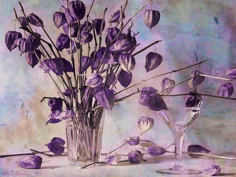 Dried Purple Flowers in Vase
