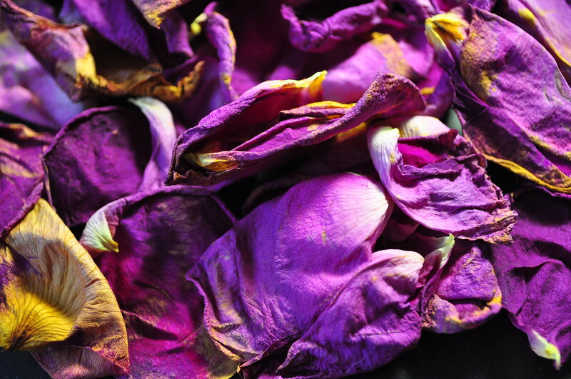 dried purple rose petals